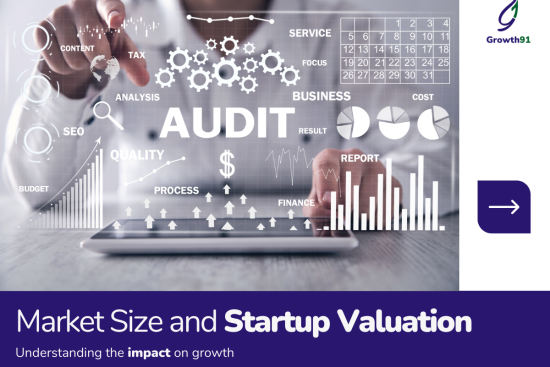 Market Size and Startup Valuation